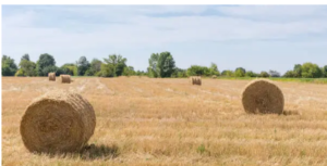 strongest baler twine 