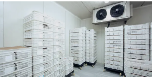 industrial refrigeration pros