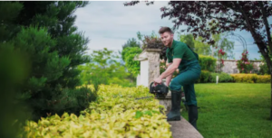 landscaping