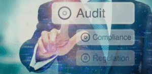 NDIS audit support